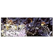 ����������� ������ �� �����/����� Tsubasa Reservoir Chronicle. ������ �������: 150 � 60 ��